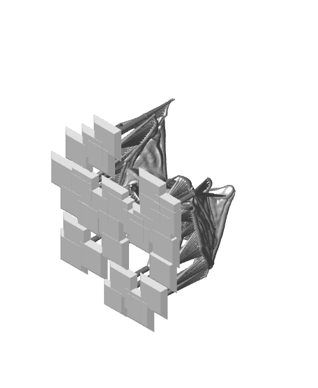 Giant Bat - B (walking) 3d model