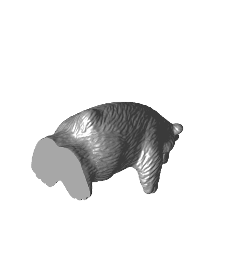 Brown Bear 3d model