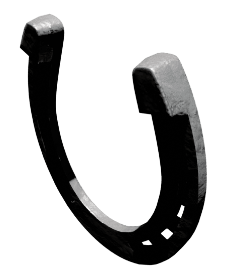 Horseshoe.glb 3d model