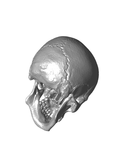 One-Eyed Willy Skull from Goonies 3d model