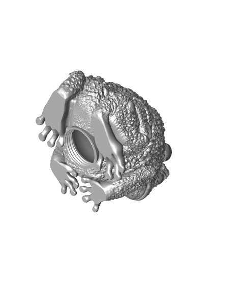 Frog Piggy Bank 3d model