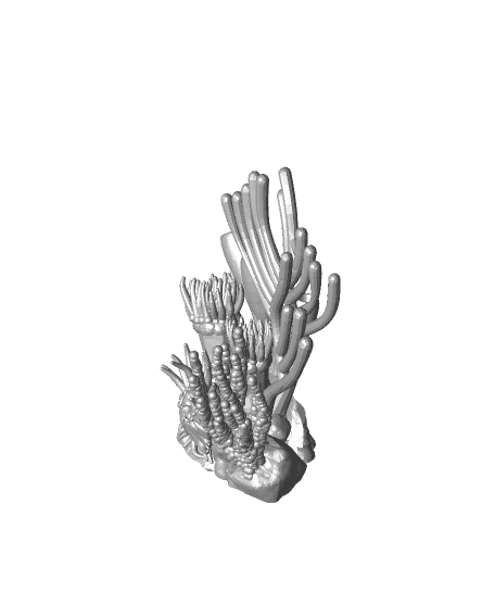 Marmalade Reef 3d model