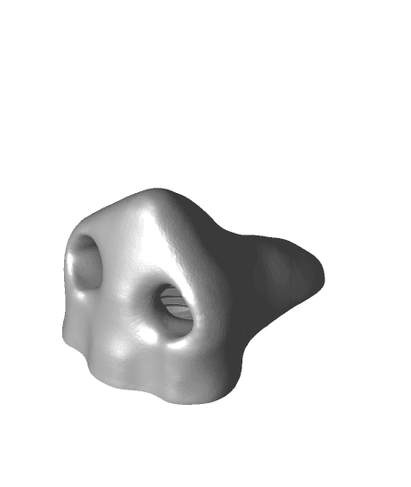 Nose Toothpaste 3d model