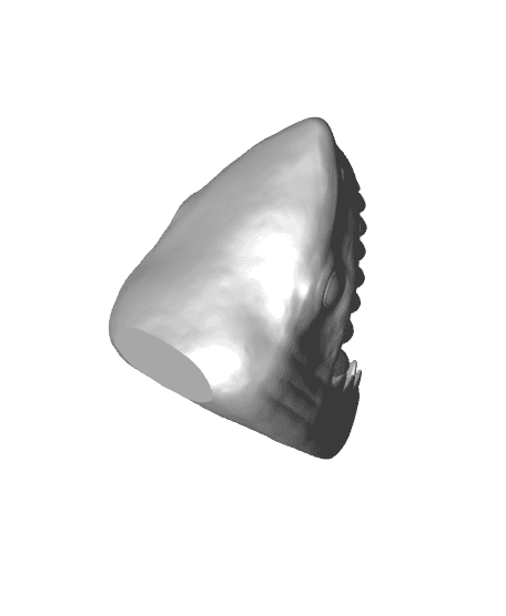 Shark Ring 3d model
