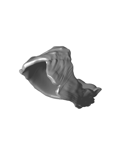 Caesar Ring 3d model