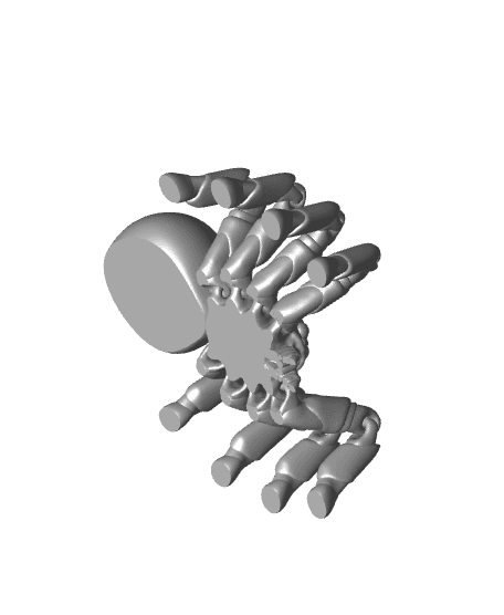 MINI FLEXI SPIDER 3d model