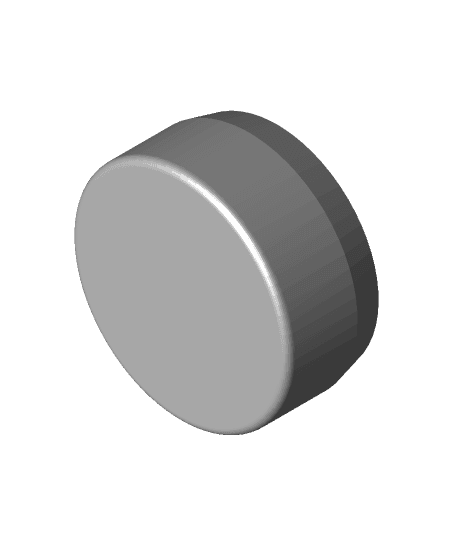 Screw_Plug (1).STL 3d model