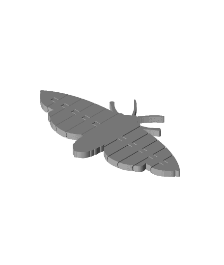 Flexi Articulated Moth 3d model