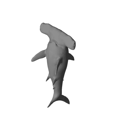 Hammerhead Shark 3d model