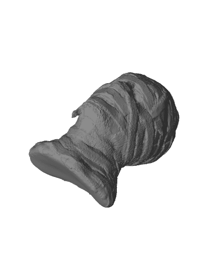 The Mummy 3d model