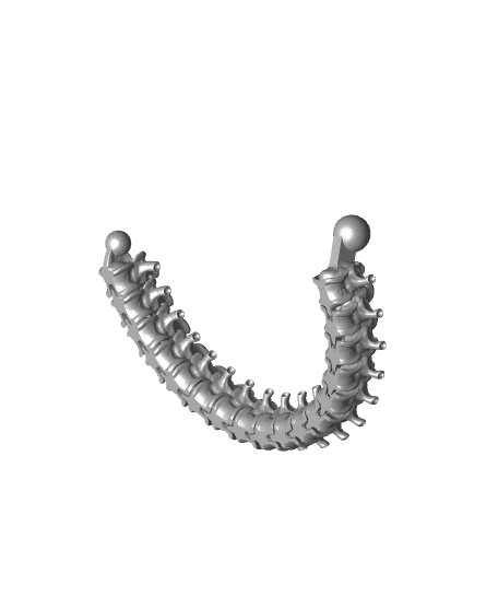 Articulated Spine-Brain 3d model