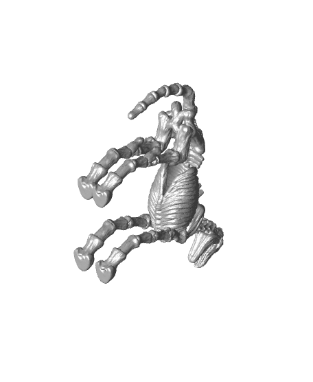 Skeletal Horse 3d model