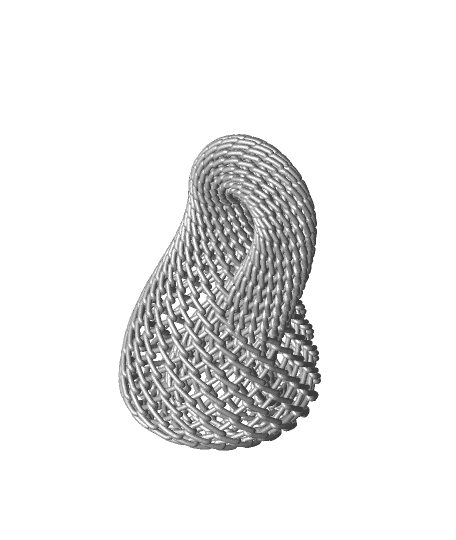 Chain Link Klein Bottle 3d model