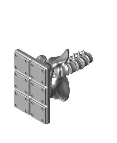 Gridfinity pelvis 3d model