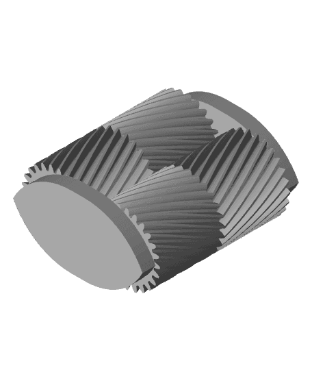 Dual Gear Fidget 3d model