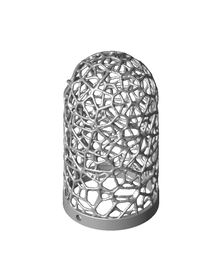 Voronoi Bird feeder 3d model