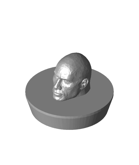 dwayne plug.stl 3d model