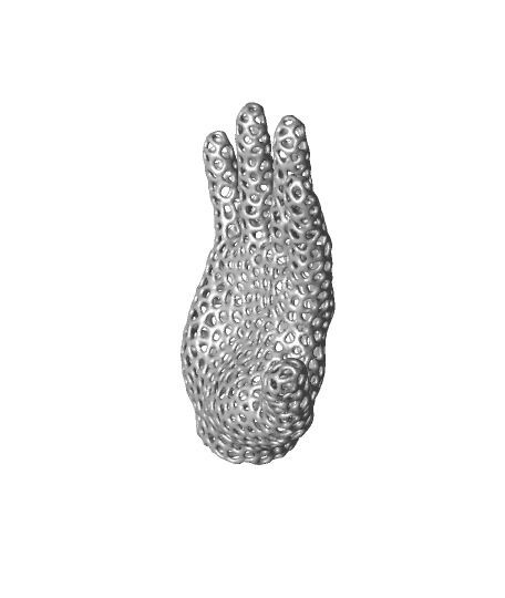 vonoroi hand 3d model