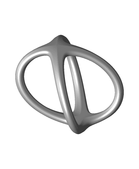 Elipse Ring 3d model