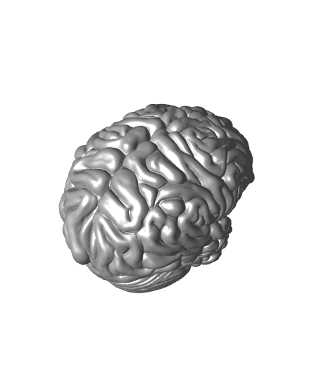 Brain in a Jar 3d model