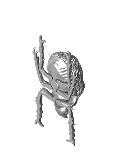 Brain Bug 3d model