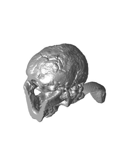 Vampires Death Skull with Snake Halloween Tomb Decor 3d model