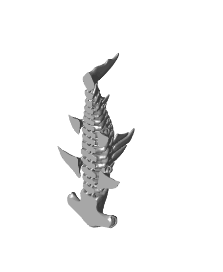 Hammerhead  Shark  Bones 3d model