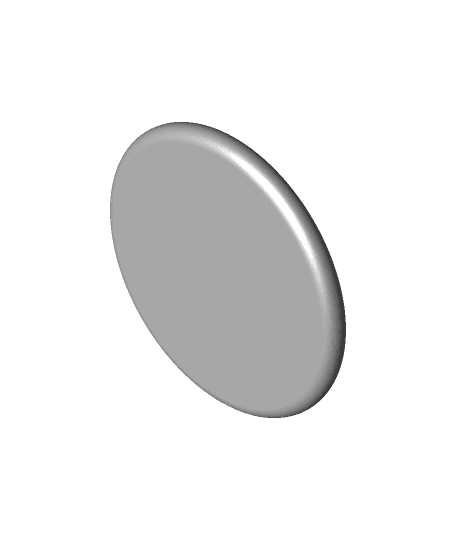 Blank Coin 3d model