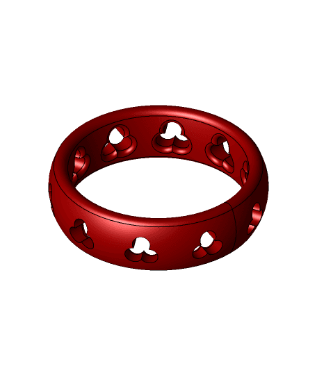 Ring #13 3d model