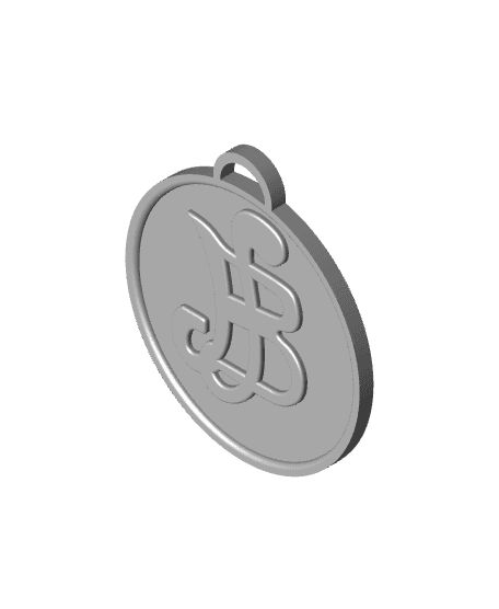 Berry Coin Necklace 3d model