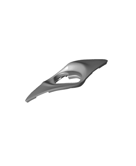 eye_panel_D.stl 3d model