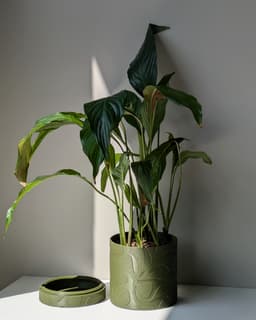 LEV Planter 3d model