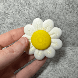 Pushing Daisies Fidget Spinner 3d model