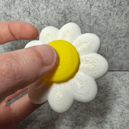 Pushing Daisies Fidget Spinner 3d model