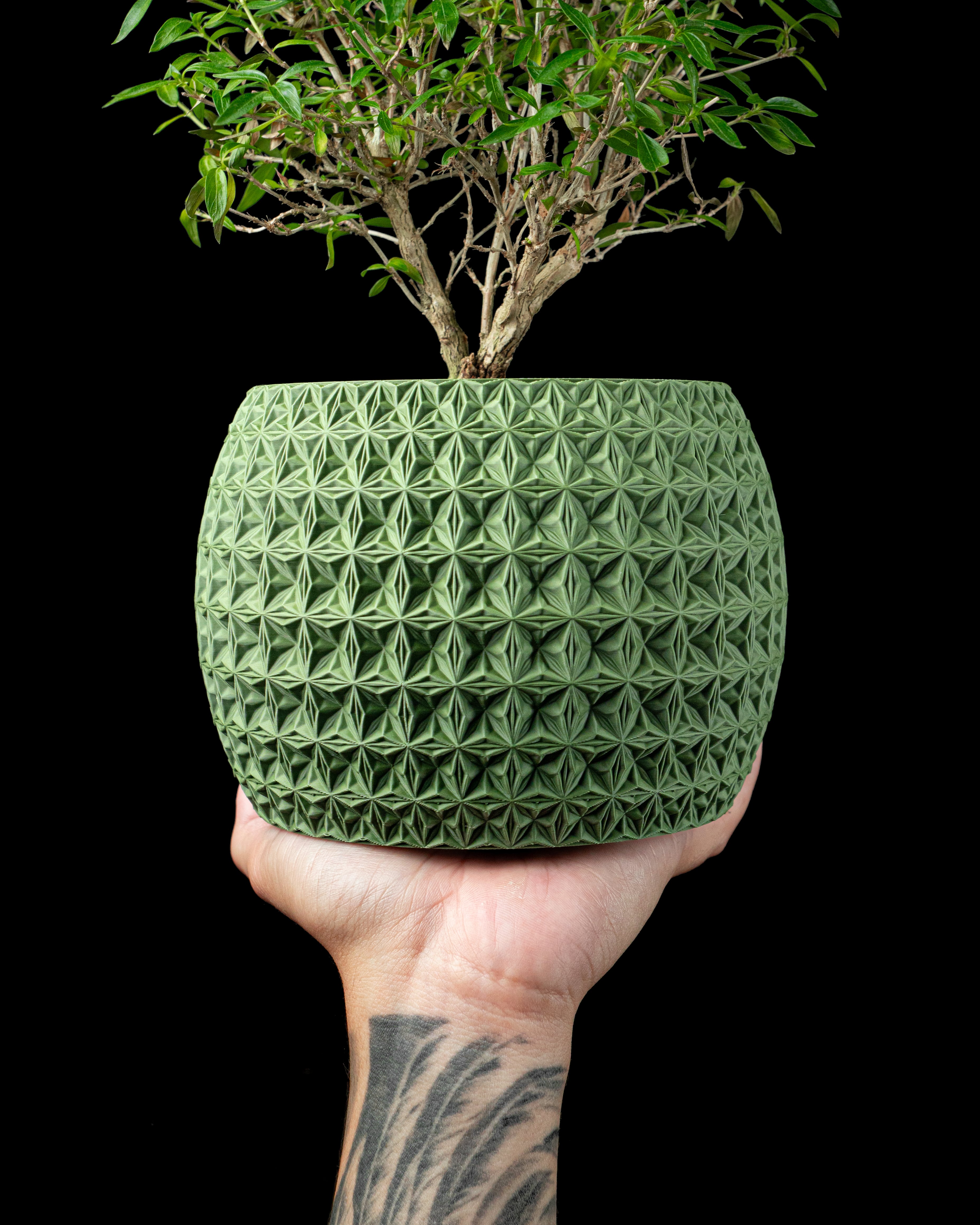 Burst Planter Pot by MODERN MACHINE 3d model