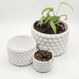 Bubble Planter 3d model