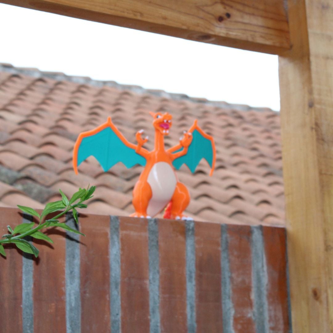 Charizard By Colors 3d model