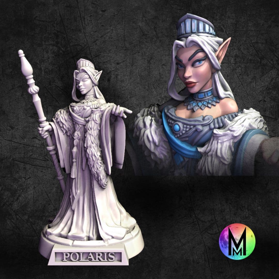 High Elf Cleric/Wizard Female - Polaris the High Elf Cleric ( Frost themed High Elf wizard/cleric ) 3d model