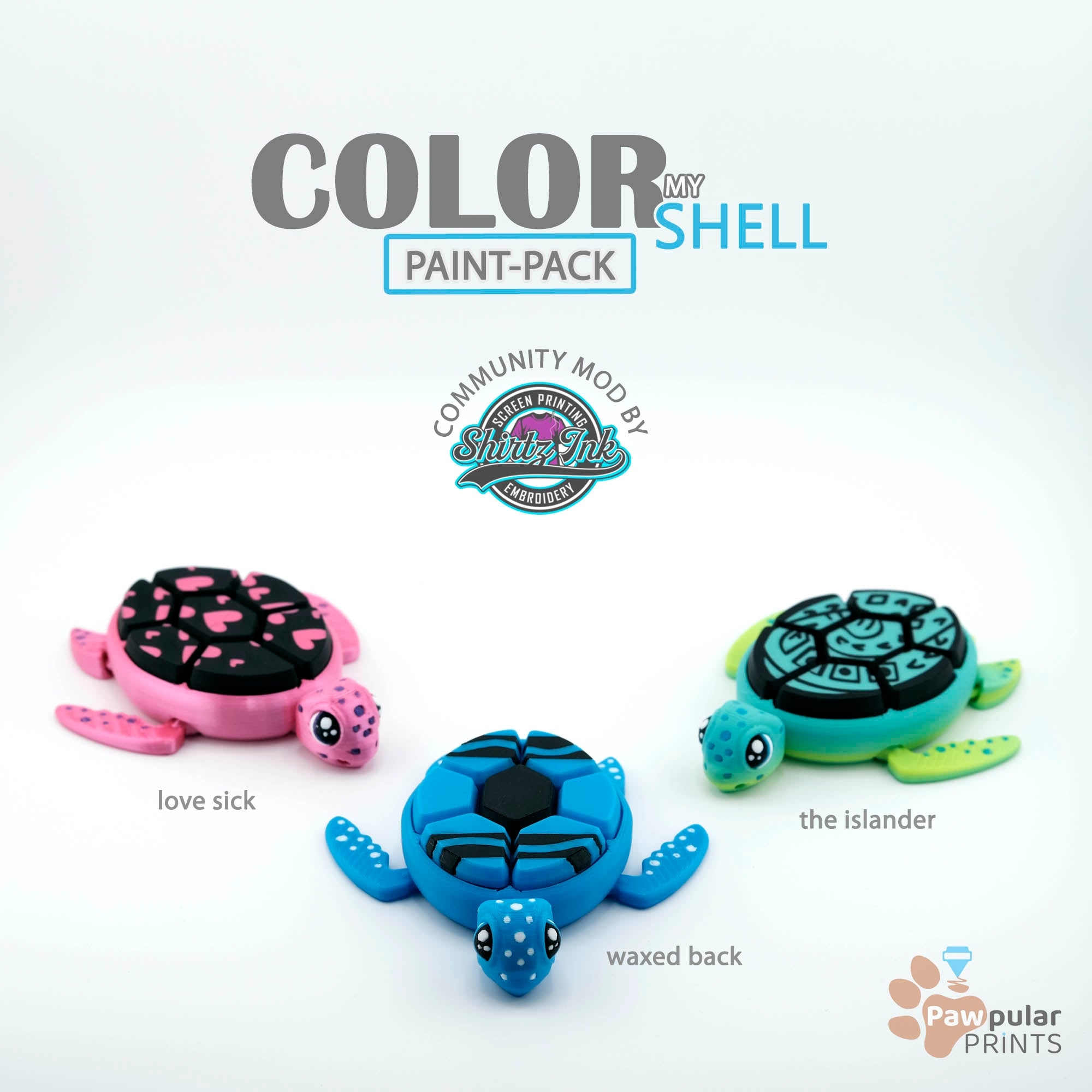 Color My Shell 3d model
