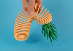 Tasty Springos Pack No.1 3d model