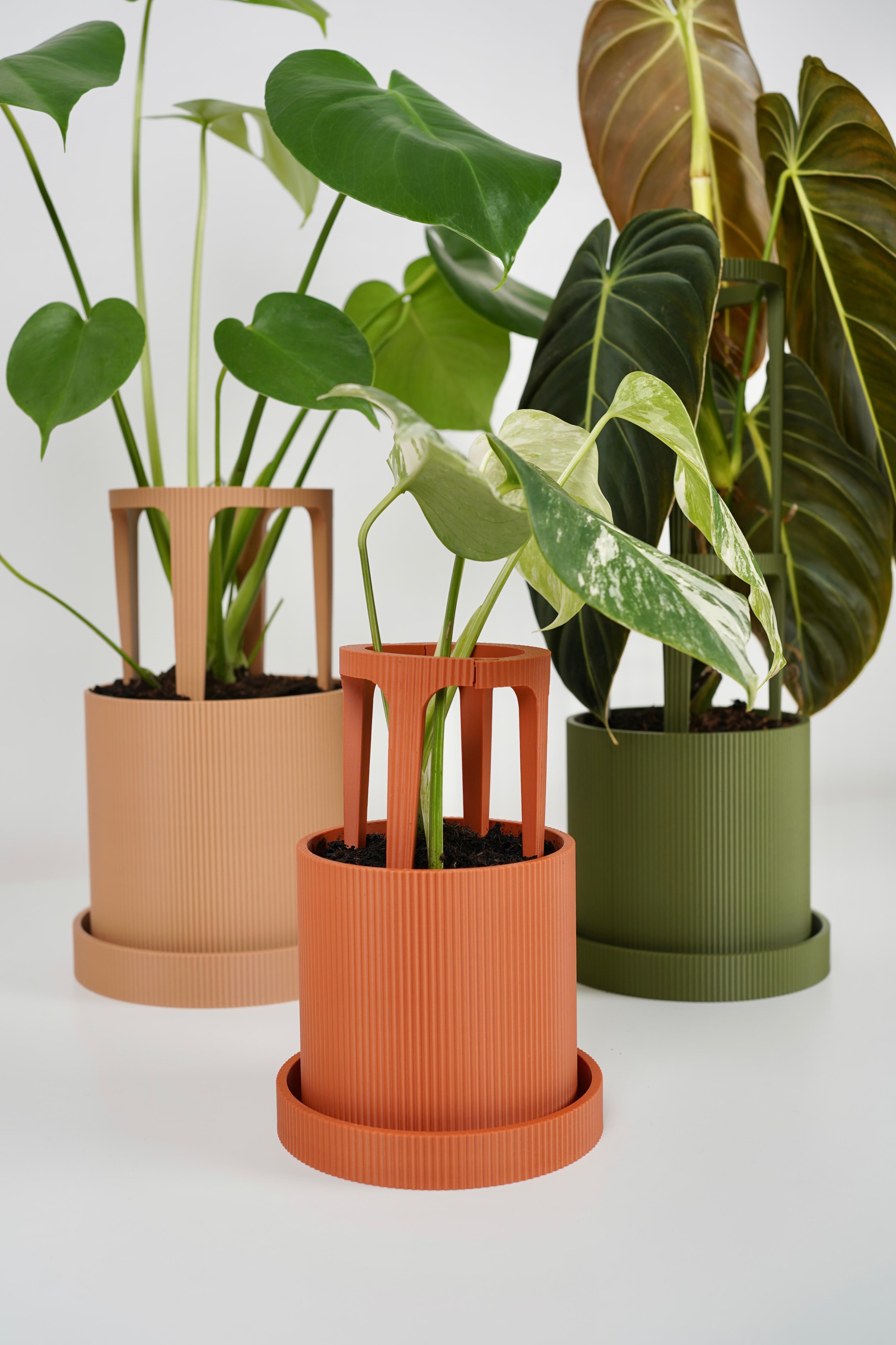 STEMRA Planter with Matching Plant Stakes 3d model