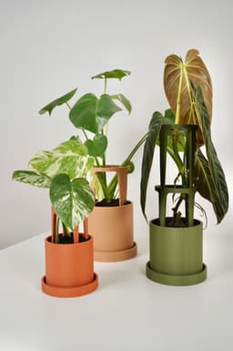 STEMRA Planter with Matching Plant Stakes 3d model
