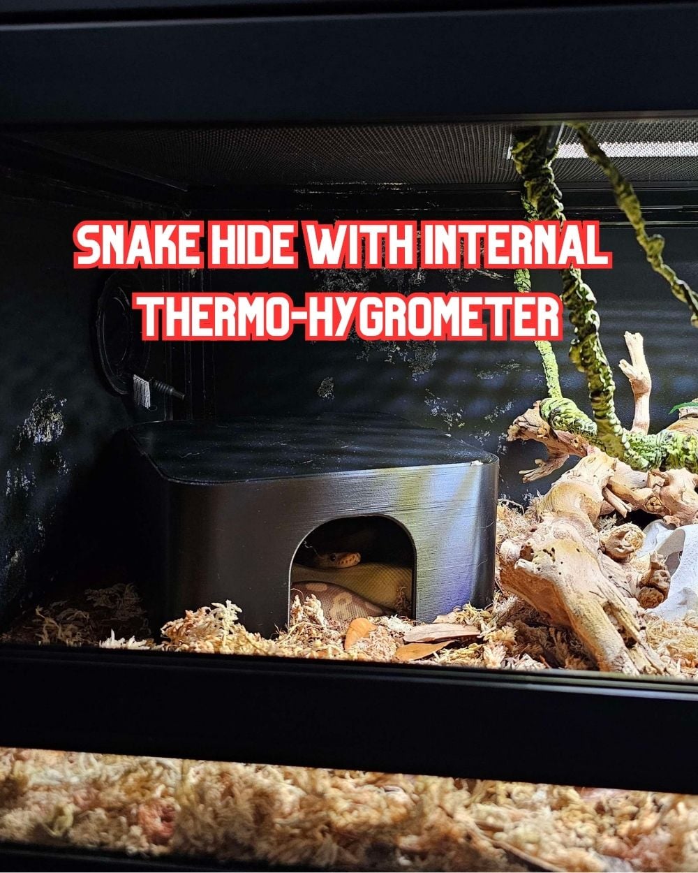 Snake Hide 3d model