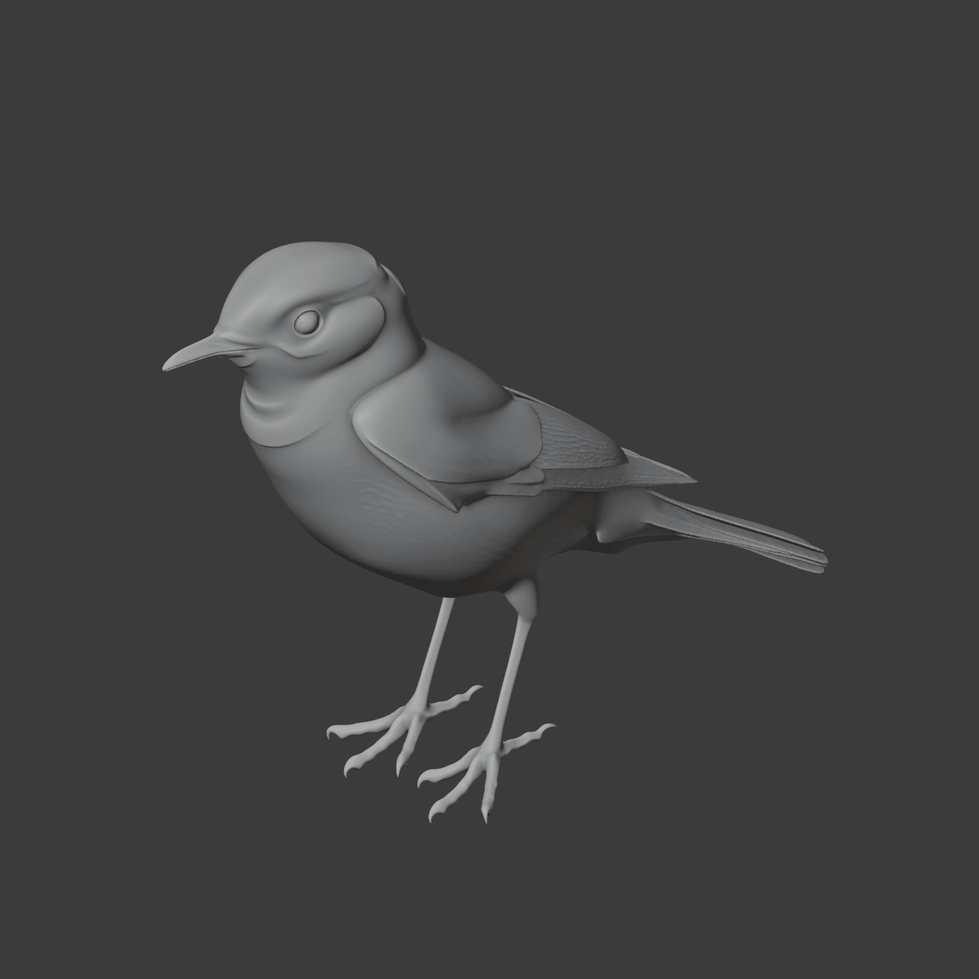 Chat Bird 3d model