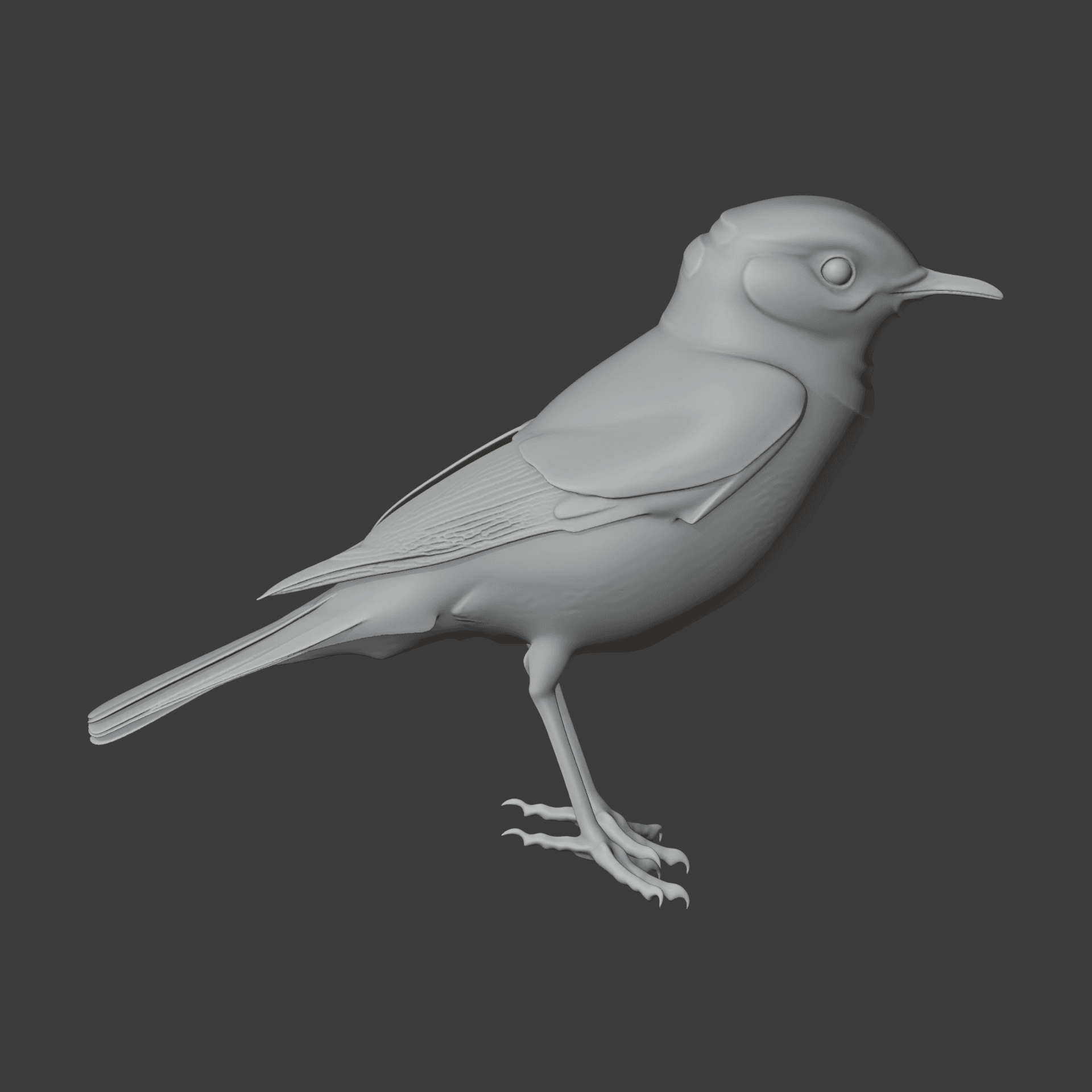 Chat Bird 3d model