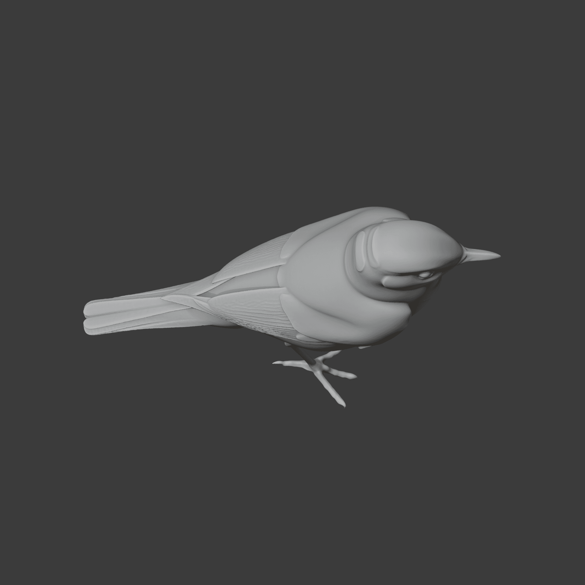 Chat Bird 3d model