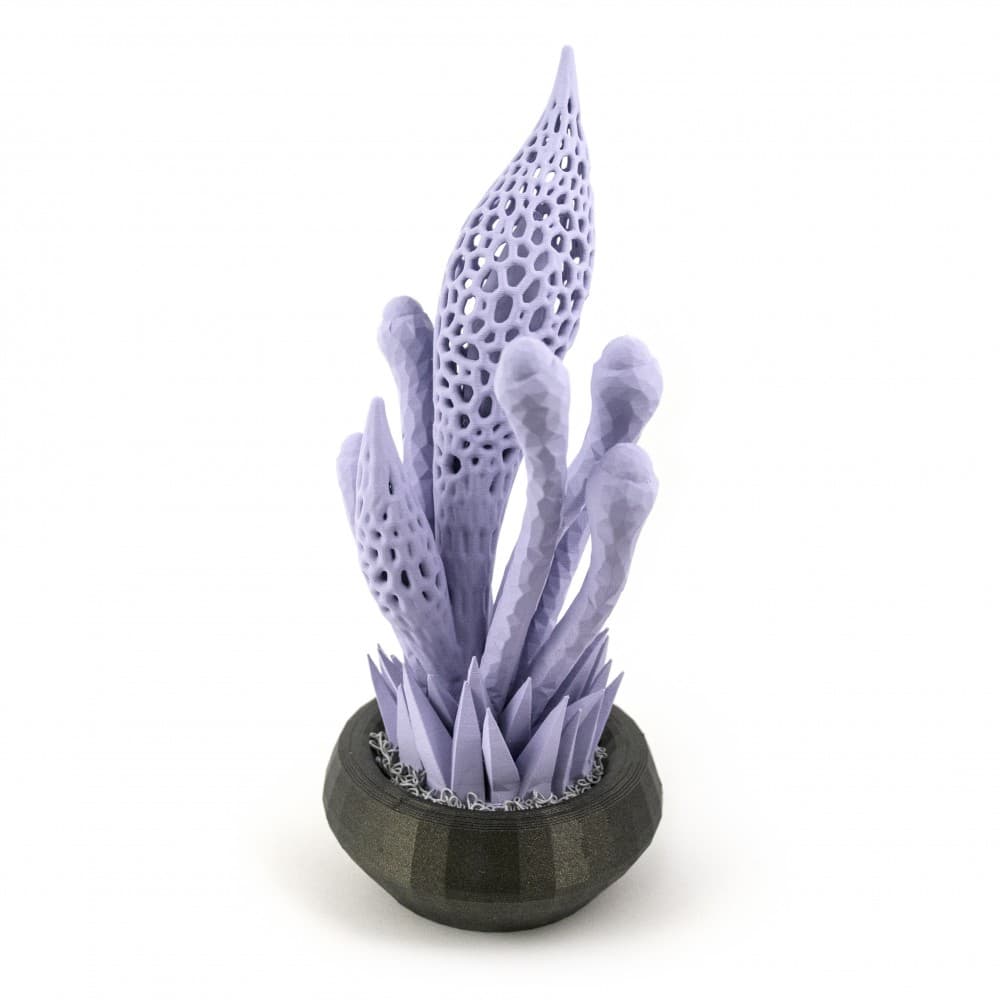 Alien Garden // Plant 5 3d model