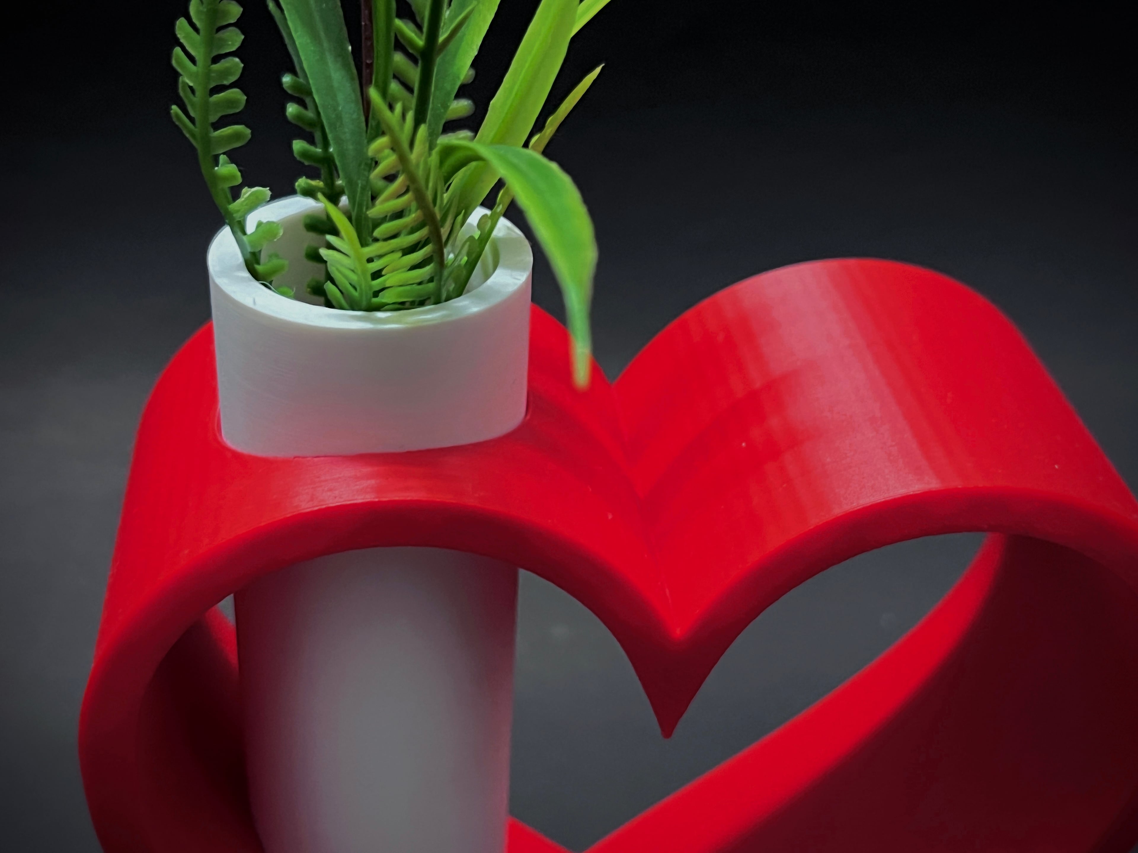 Heart Vase 3d model