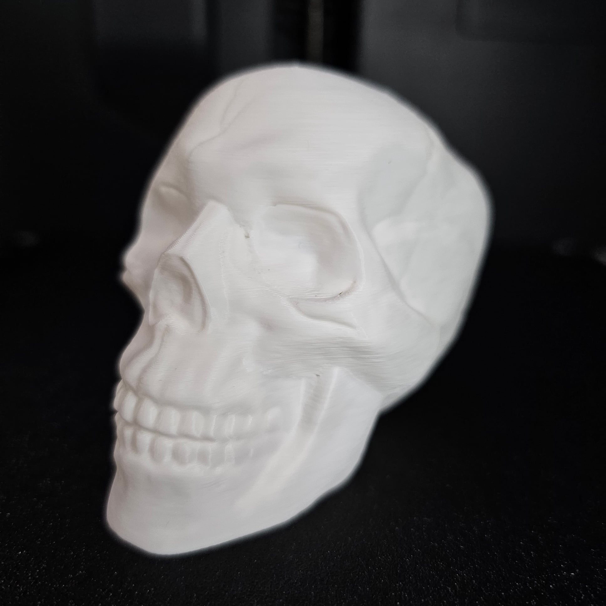 Human Skull 3d model