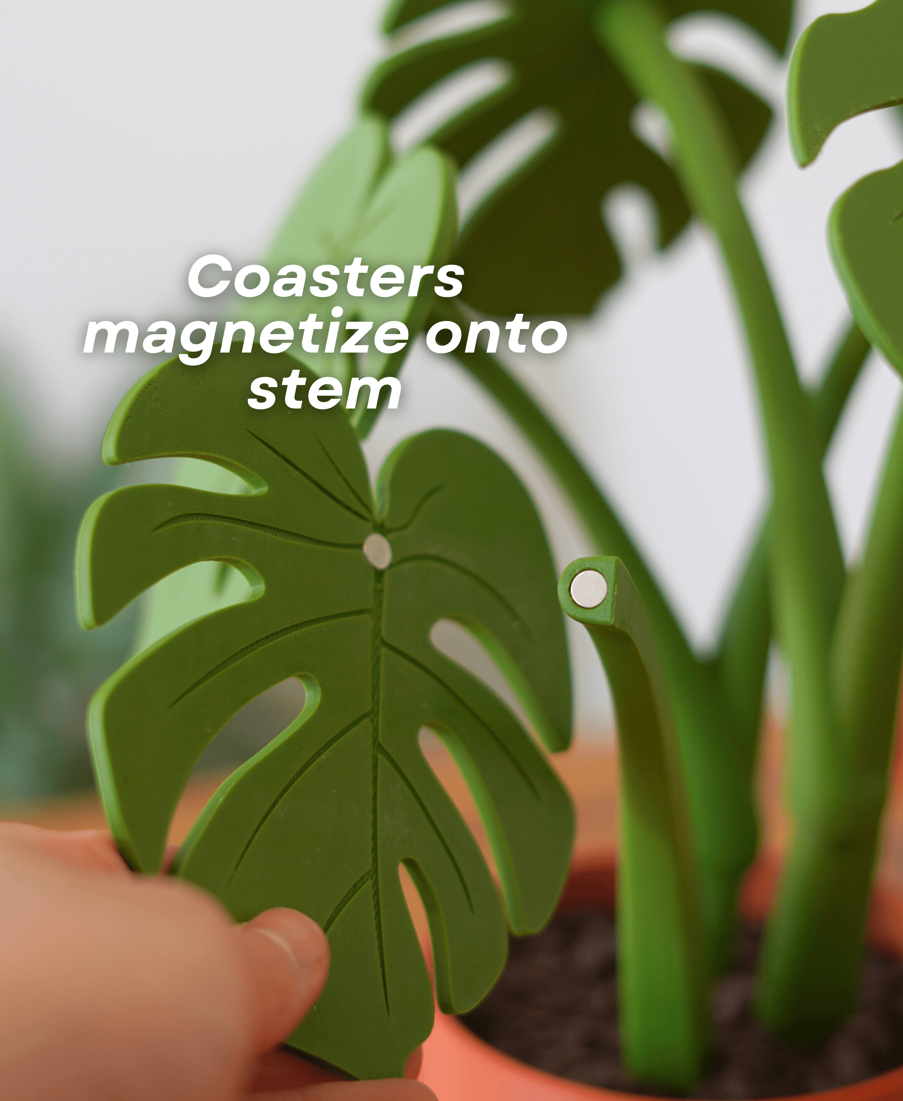 Monstera Coaster Set - Coaster Set End Table - Gen 2 3d model